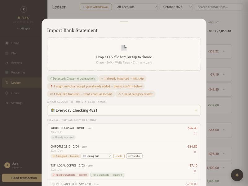 The import preview showing detected bank, summary chips, account selector and rows